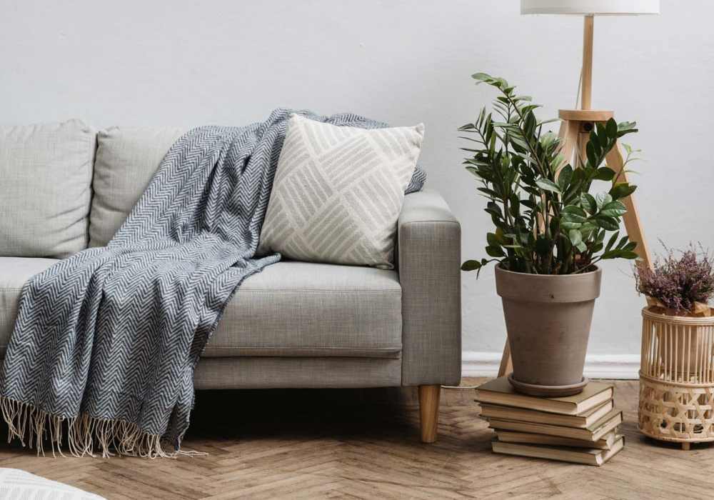 A stylish living room that includes a comfy couch, a chic lamp, and a flourishing plant at EVOQ East Cobb in Marietta, Georgia