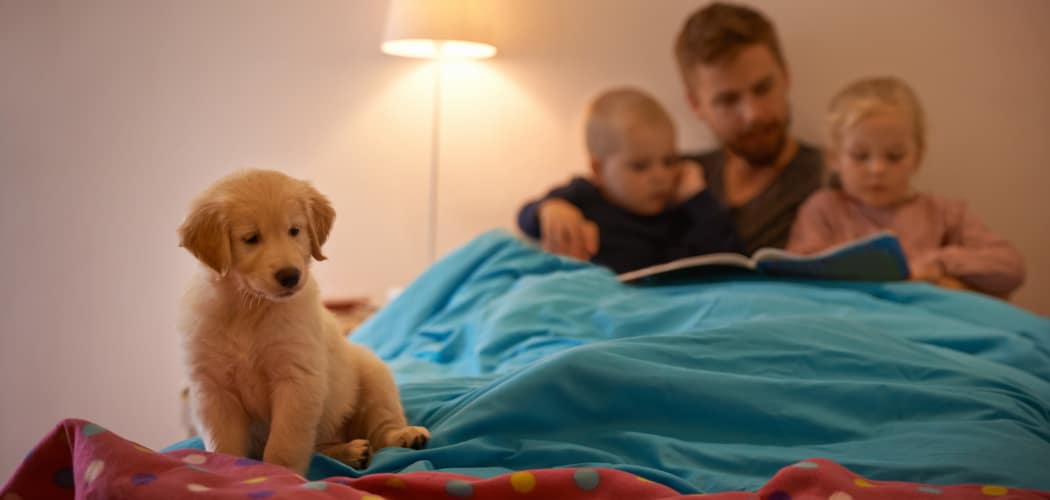 Residents and their dog at Elliot's Crossing Apartment Homes