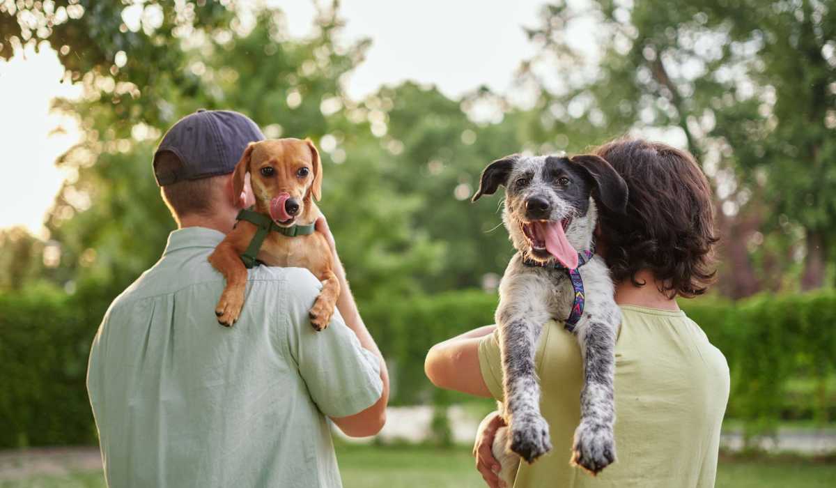 Pet friendly at Walnut Apartments in Philadelphia, Pennsylvania