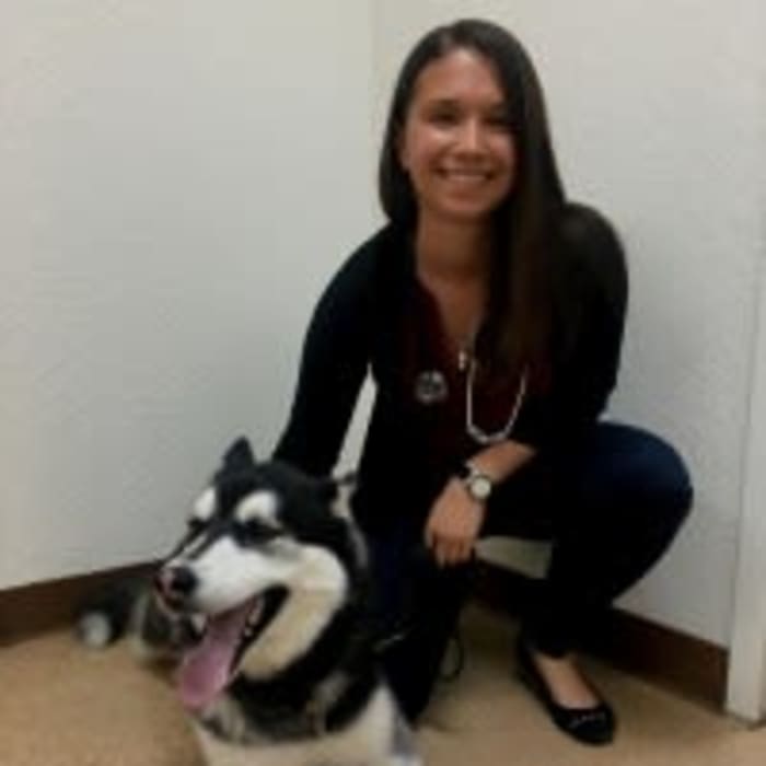 Dr. Jade Lanier at Arizona Avenue Animal Clinic in Chandler, AZ