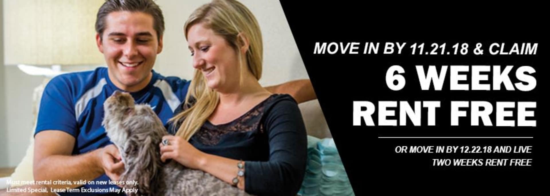 Move In Special Image