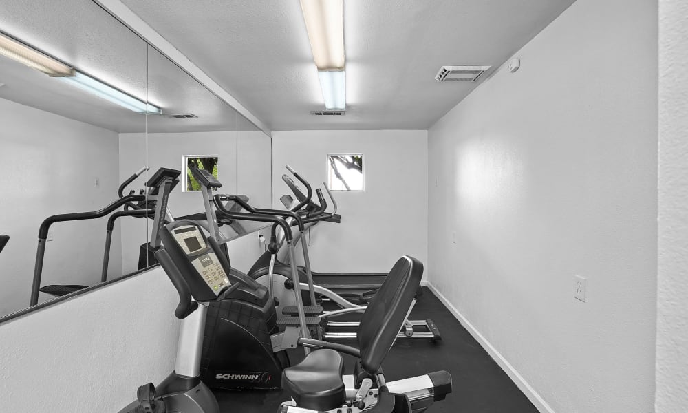 Gym at The Phoenix Apartments in El Paso, Texas