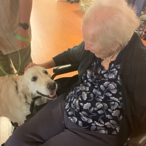 Resident petting a visiting dog at The Foothills Retirement Community in Easley, South Carolina