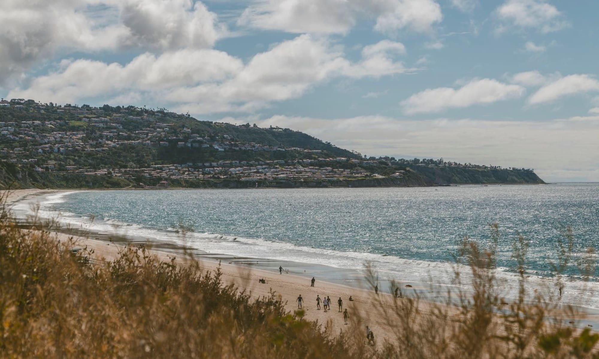 24 Home Care Torrance