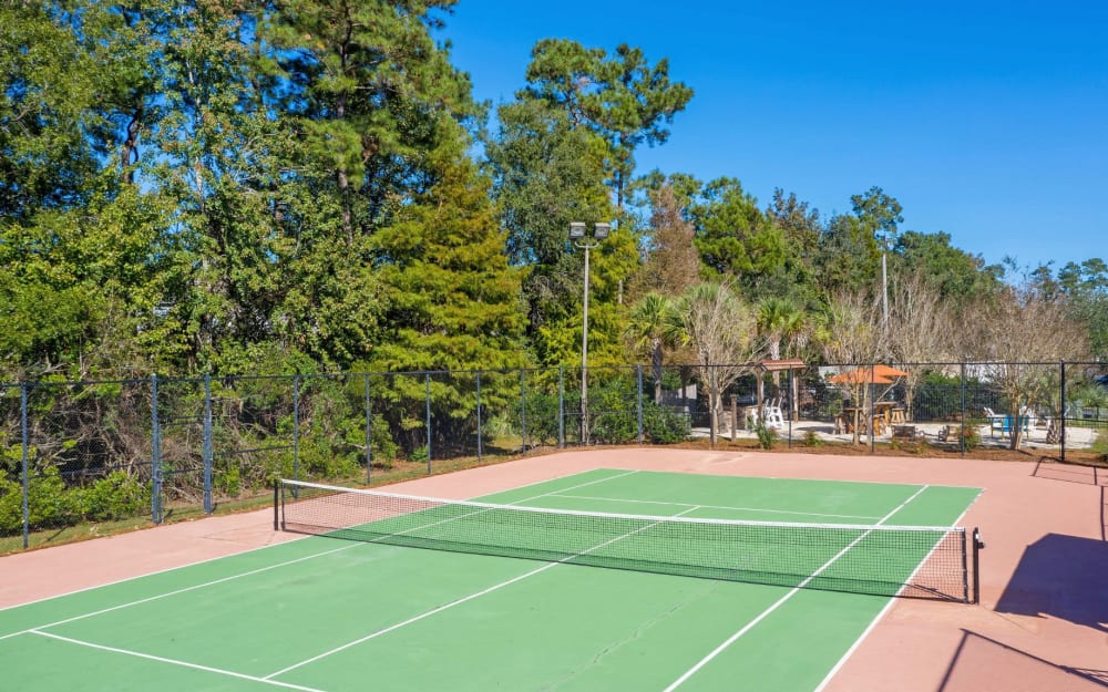 Link to amenities at Palmetto Pointe in Myrtle Beach, South Carolina