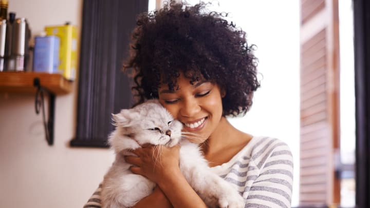 Woman hugs a cat