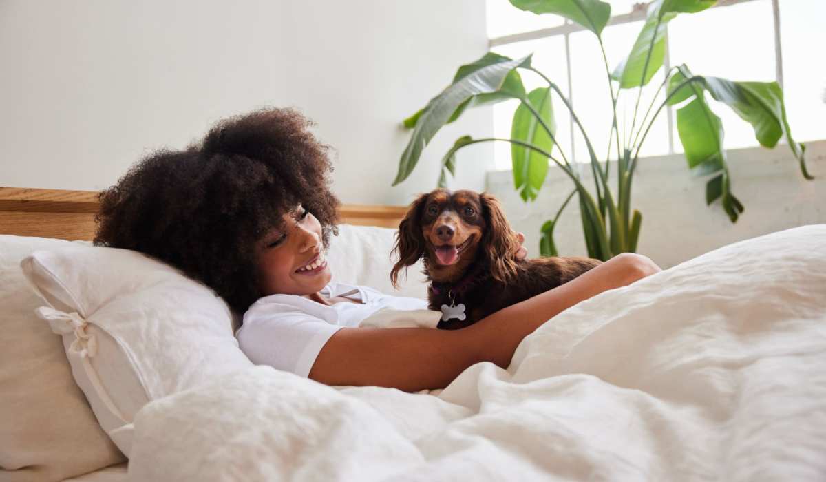 Pet-friendly homes at The Current in Grand Rapids, Michigan