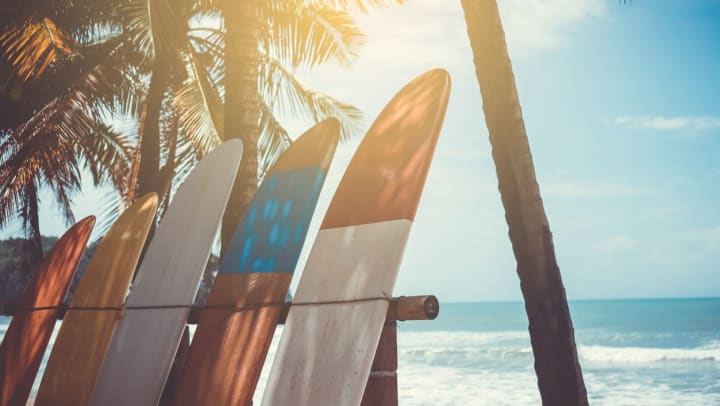 Four colorful surfboards lined up and leaning against a post beneath palm trees with blue sky and ocean waves in the background | surf shops near Jacksonville