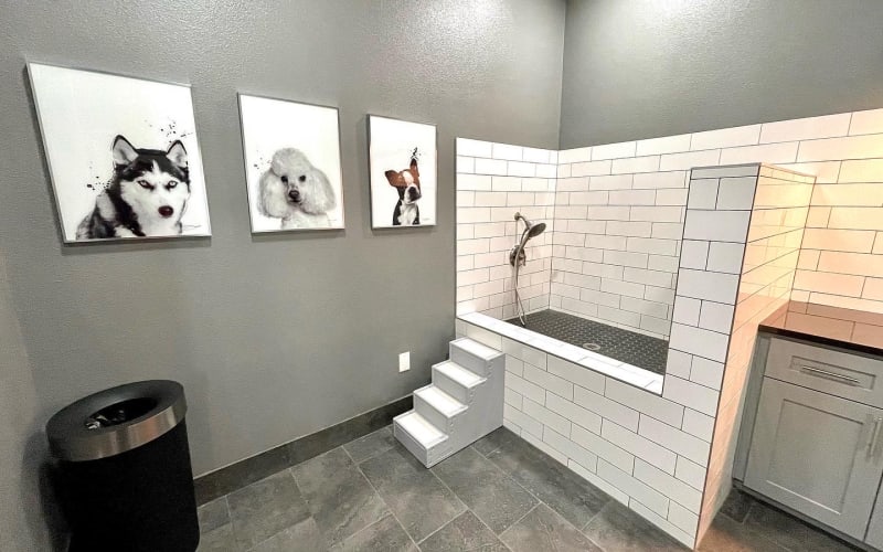 Enjoy apartments with a dog washing station at The Abbey at Energy Corridor in Houston, Texas