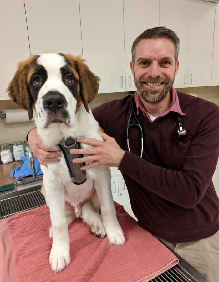 Dr. Hendershot at Value Pet Clinic - Tacoma
