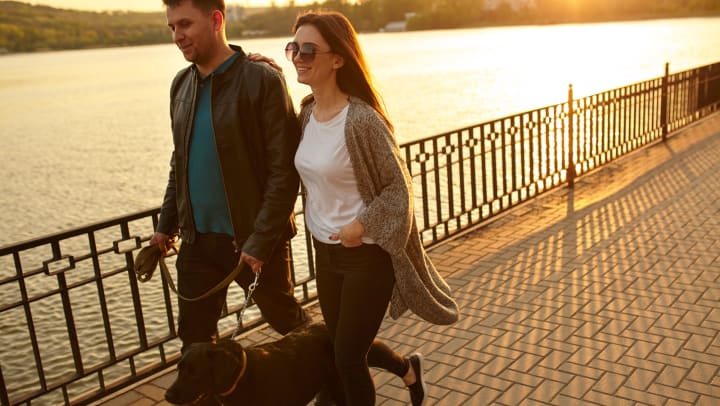 Couple walking with a dog by the water at sunset. 