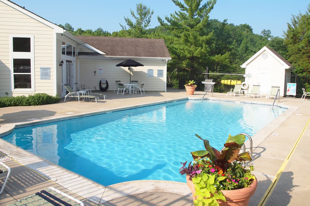 Pool at Fox Chase South in Southgate, Kentucky