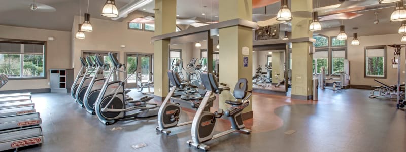 Spin bikes and treadmills at The Grove Somerset in Somerset, New Jersey