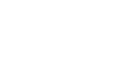 The Holly logo