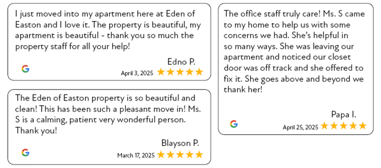 three examples of five star google reviews