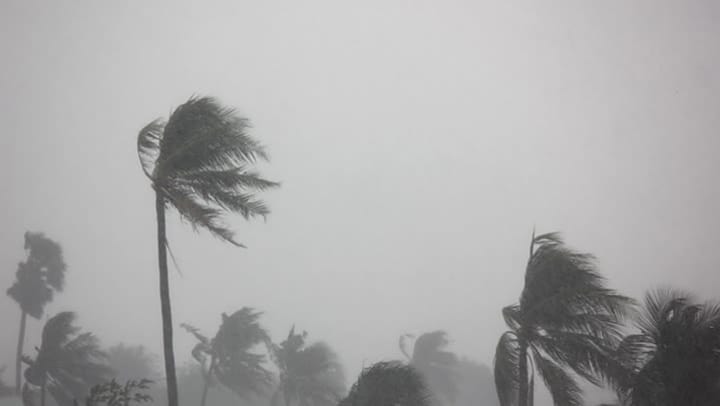 Hurricane Irma