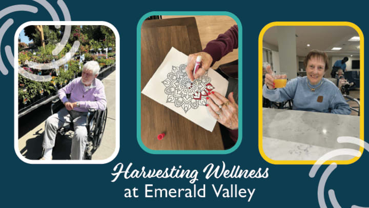 Senior Residents Enjoying Wellness Activities at Emerald Valley