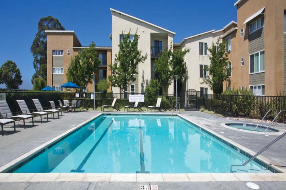 View of the pool and spa at Pacific Shores
