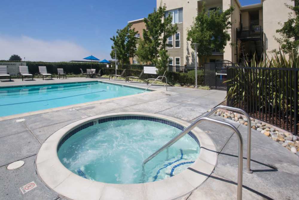View of the pool and spa at Pacific Shores