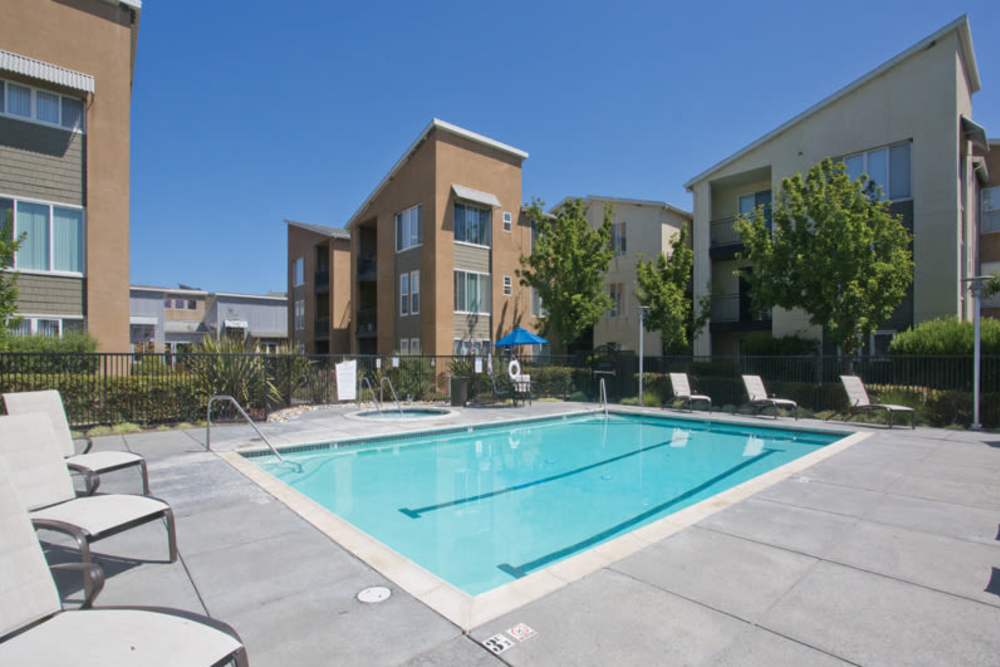 View of the pool and spa at Pacific Shores