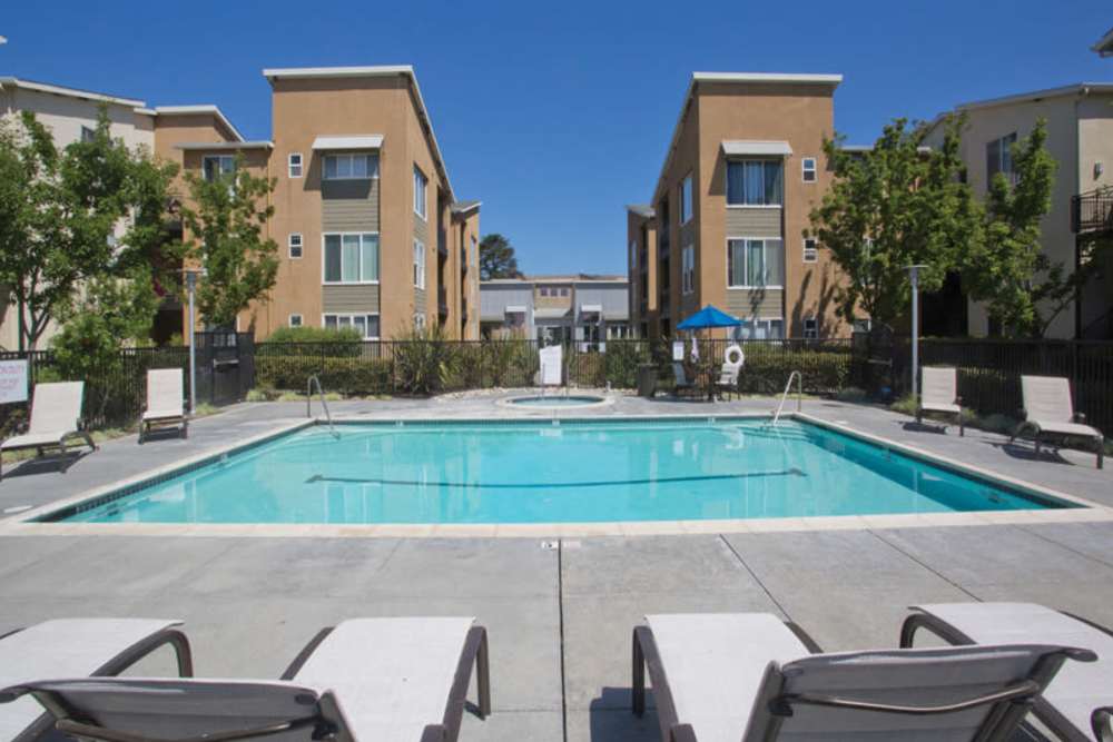 View of the pool and spa at Pacific Shores