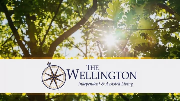 Trees with sun shining through and the wellington logo on a white banner
