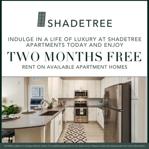Shadtree Special Offer at Shadetree Apartments in Ruskin, Florida