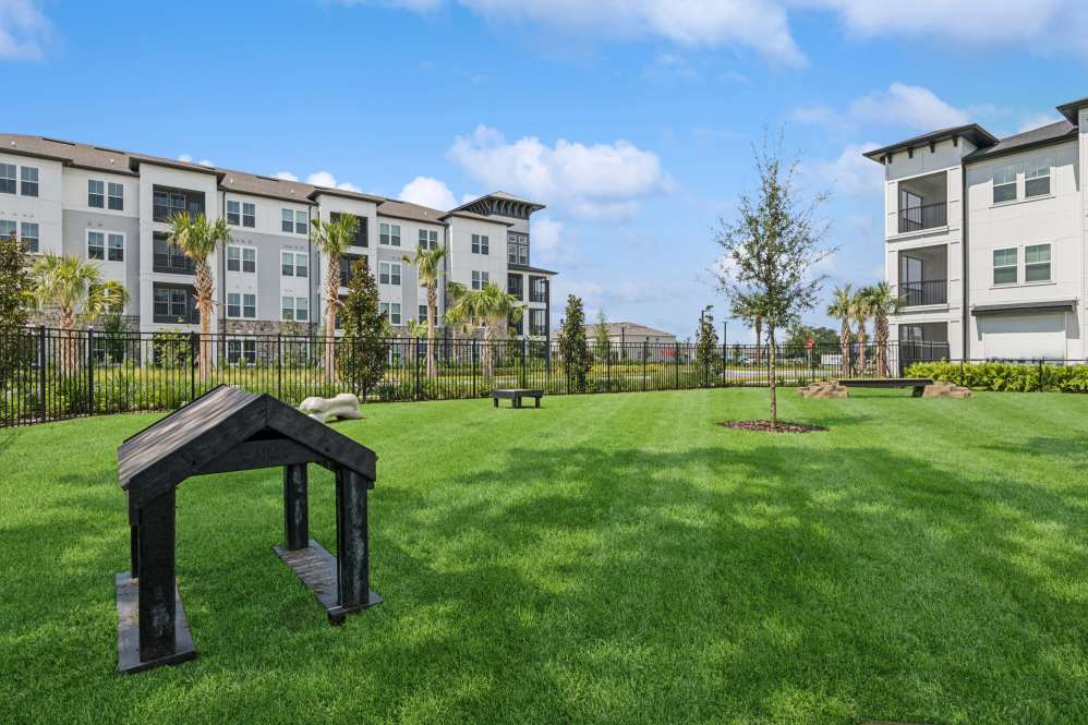Ascend Nona West