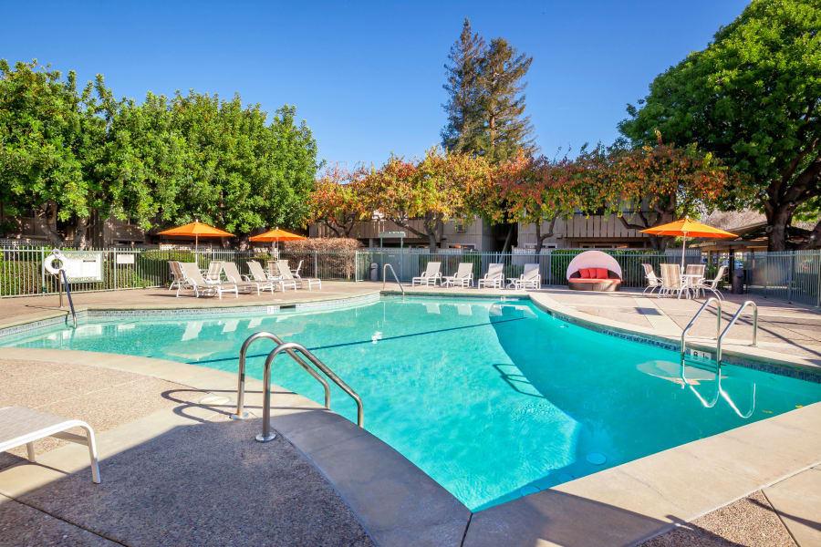 The Shadows Apartments pool