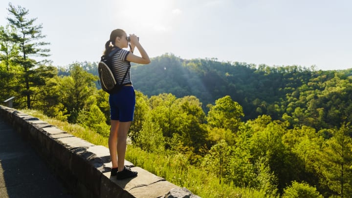 Person looking at wooded view with binoculars