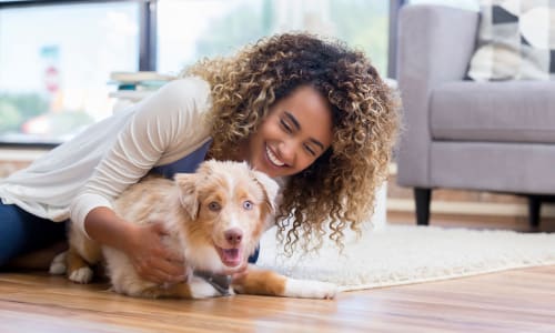Resident and her puppy getting to know the beautiful hardwood floors in their new apartment at Trinity Way in Fremont, California