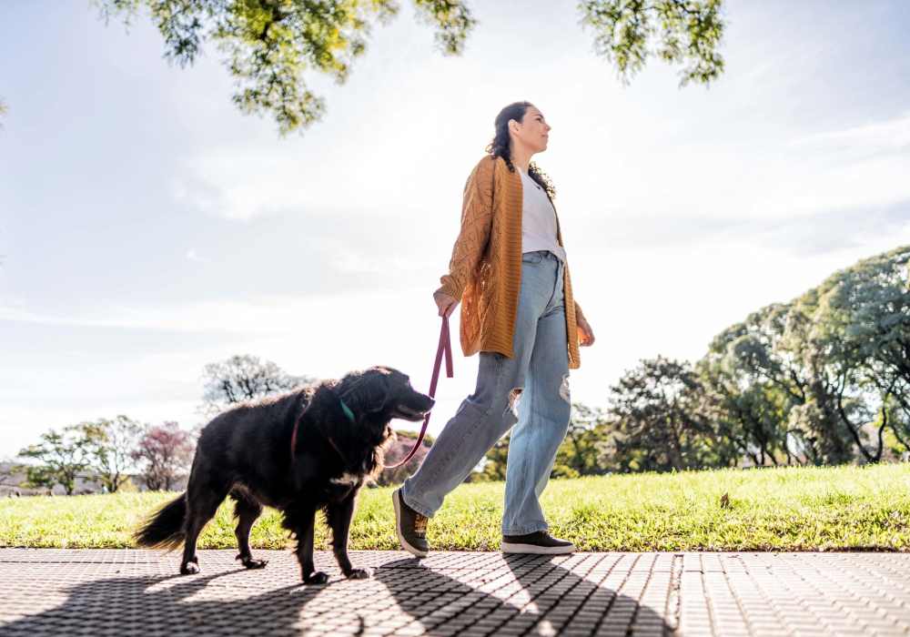 Woman walking with her pet dog near Rivers Edge in Lake Elsinore, California