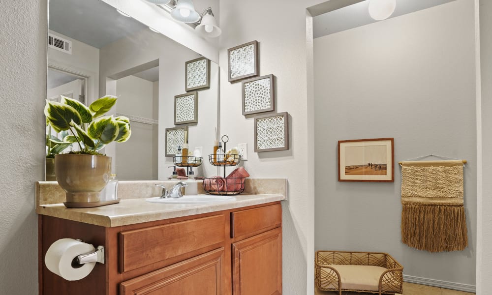 earth tones clean model bathroom at Colonies at Hillside in Amarillo, Texas