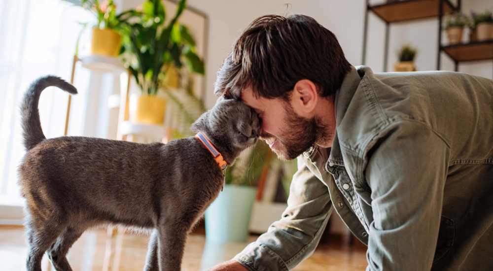 Resident playing with thier pet at Village Green Apartments in San Jose, California