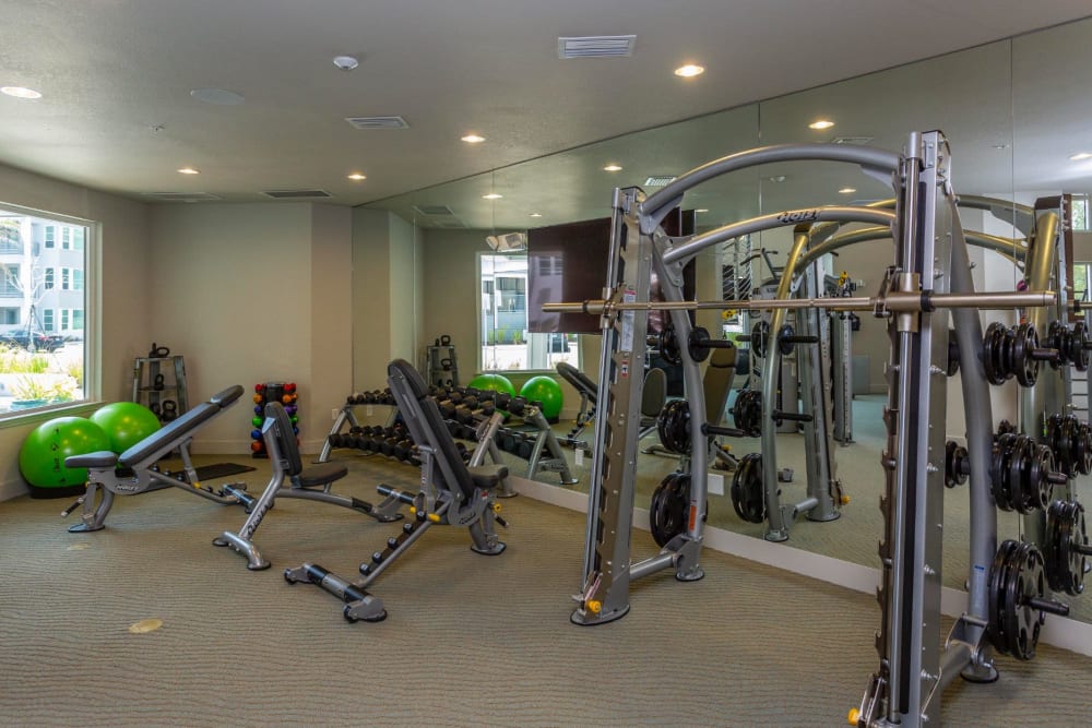 Fitness center at 50 Paramount in Sarasota, Florida
