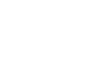 Logo for TerraLane at Canyon Trails in Goodyear, Arizona