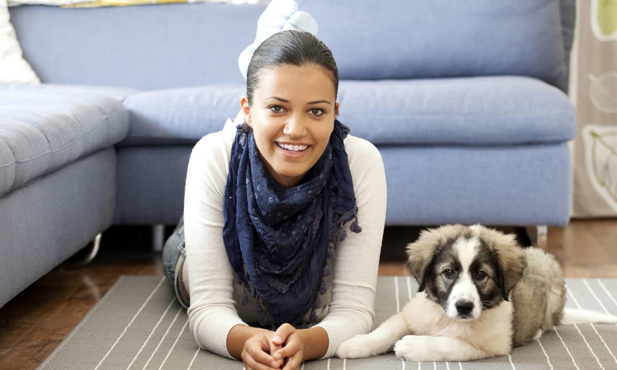 Clive Animal Hospital | University West Pet Clinic