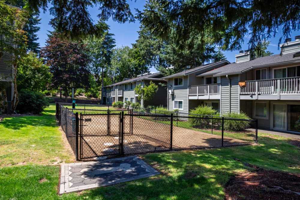 Dog park at The Park at Cooper Point Apartments in Olympia, Washington