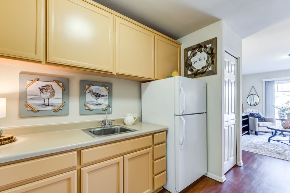 Kitchen in Independent Living
