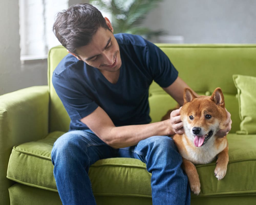 Resident and his dog relaxing on the couch in their new home at Union At Carrollton Square in Carrollton, Texas