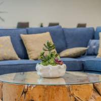 Coffee table and sofa at Bridgecreek Apartments in Novato, California