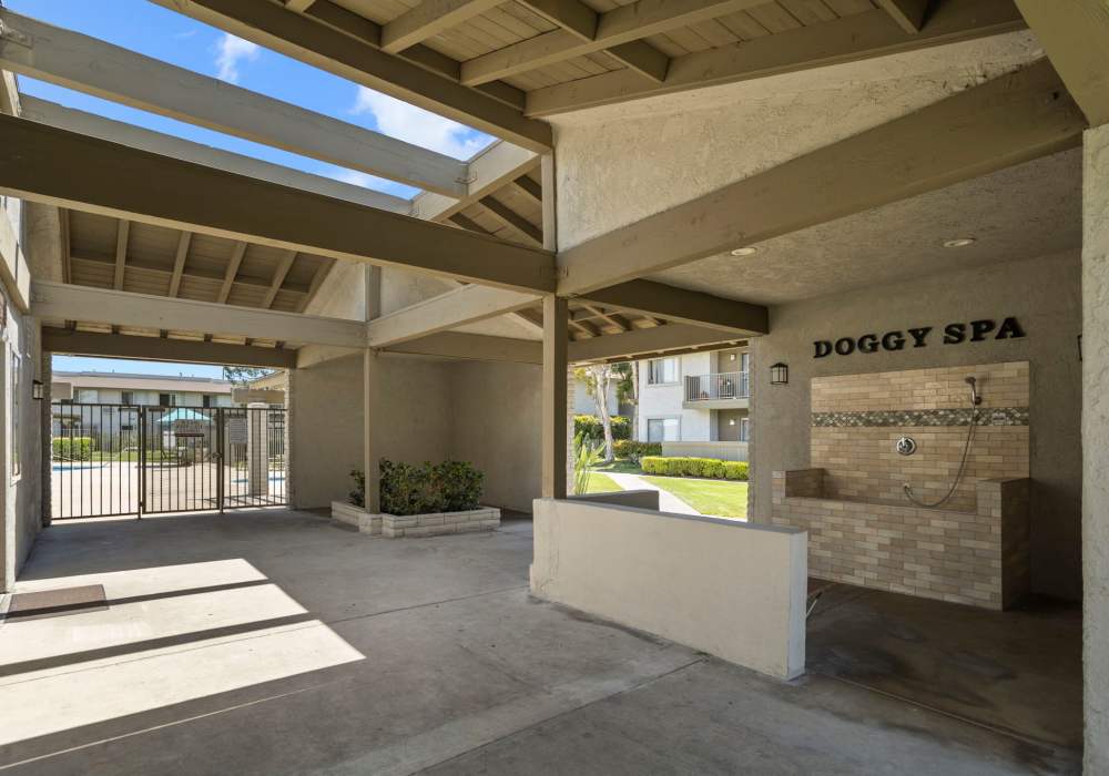 Doggy spa at Strada Apartments in Orange, California