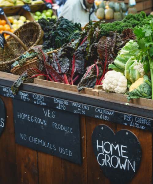 Fresh homegrown vegetables displayed at a market stall with wooden signage and baskets near Brea's Crossing Senior Living II in Shelbyville, Kentucky