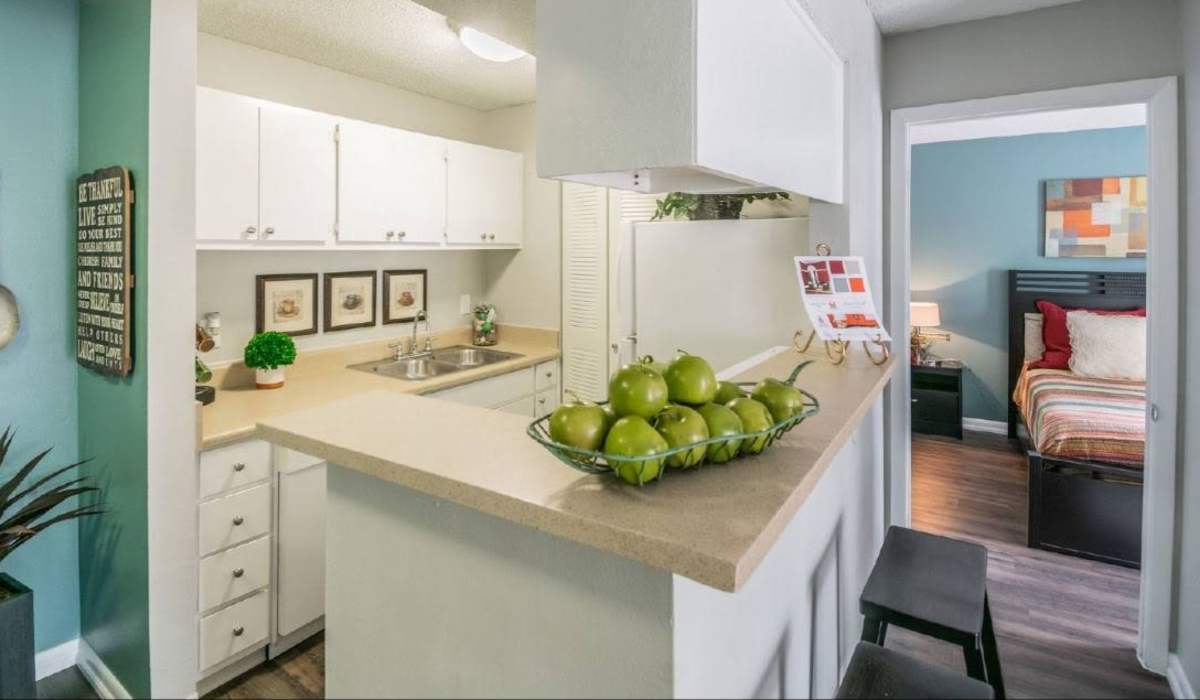 Apartment kitchen with counter seating and decorative bowl of apples at Coopers Pond in Tampa, Florida