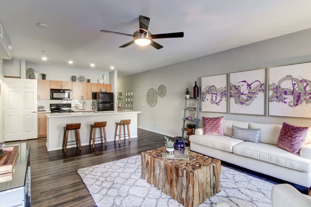 Learn more about the floor plans at Spectra on 7th in Phoenix, Arizona
