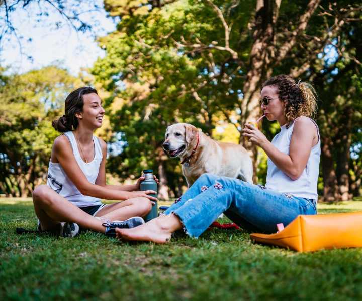 Friends at a park close to Cross Creek in Laurel, Maryland