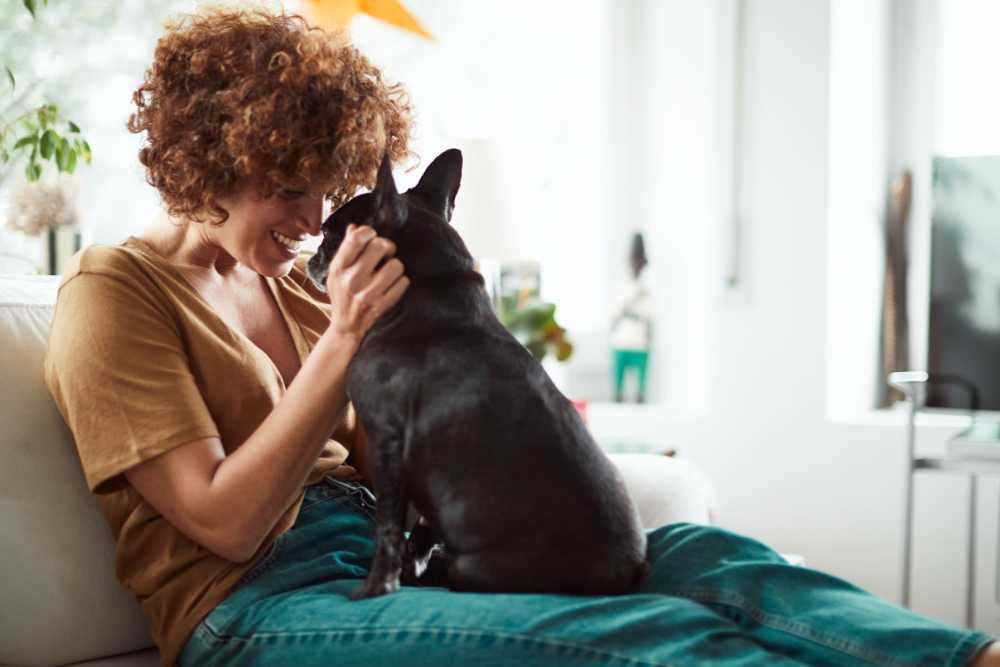 Resident petting a dog in a home at Legacy Ridge in High Point, North Carolina