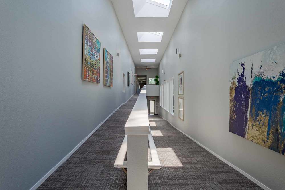 Hallway with paintings at The Park at Cooper Point Apartments in Olympia, Washington