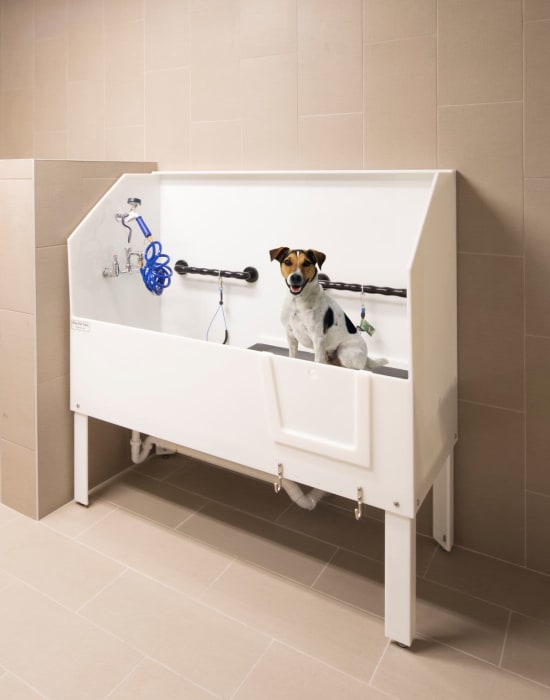 Pet Spa at The Residences at Annapolis Junction in Annapolis Junction, Maryland
