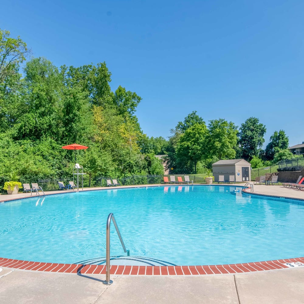Swimming pool surrounded by lounge chairs at Quail Hollow Apartment Homes in Glen Burnie, Maryland